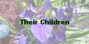 Their Children