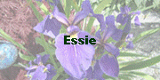 Essie