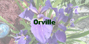 Orville